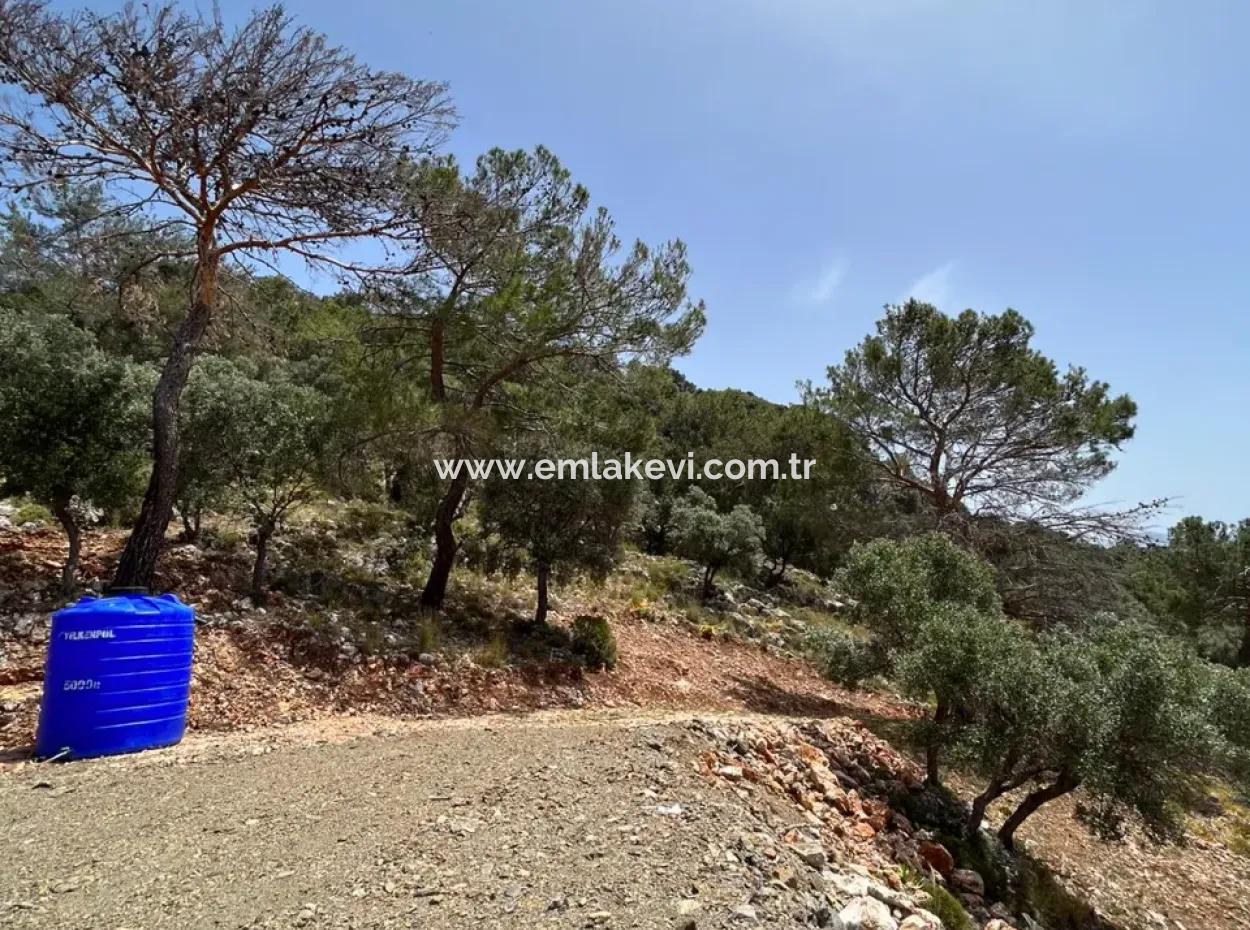 İlhan Emlaktan Sarigermede 15 Decares Land Zum Verkauf