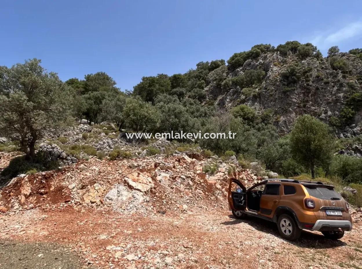 İlhan Emlaktan Sarigermede 15 Decares Land Zum Verkauf