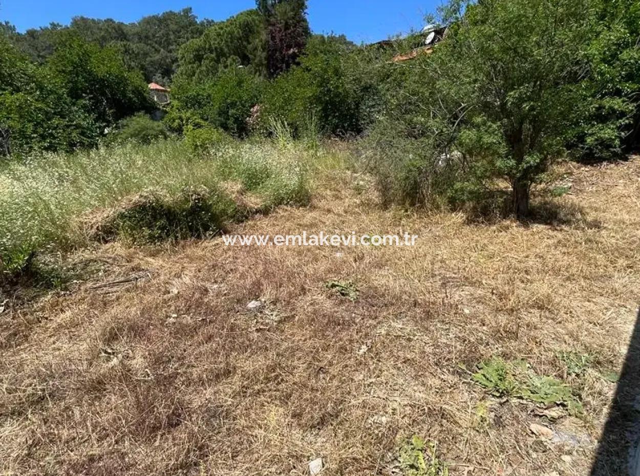 Grundstück Zu Verkaufen In Ortaca Çayli Mahallesi, Muğla