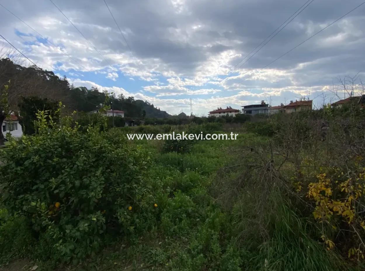 627 M2 Grundstück Zum Verkauf In Ortaca Atatürk Nachbarschaft Von Muğla