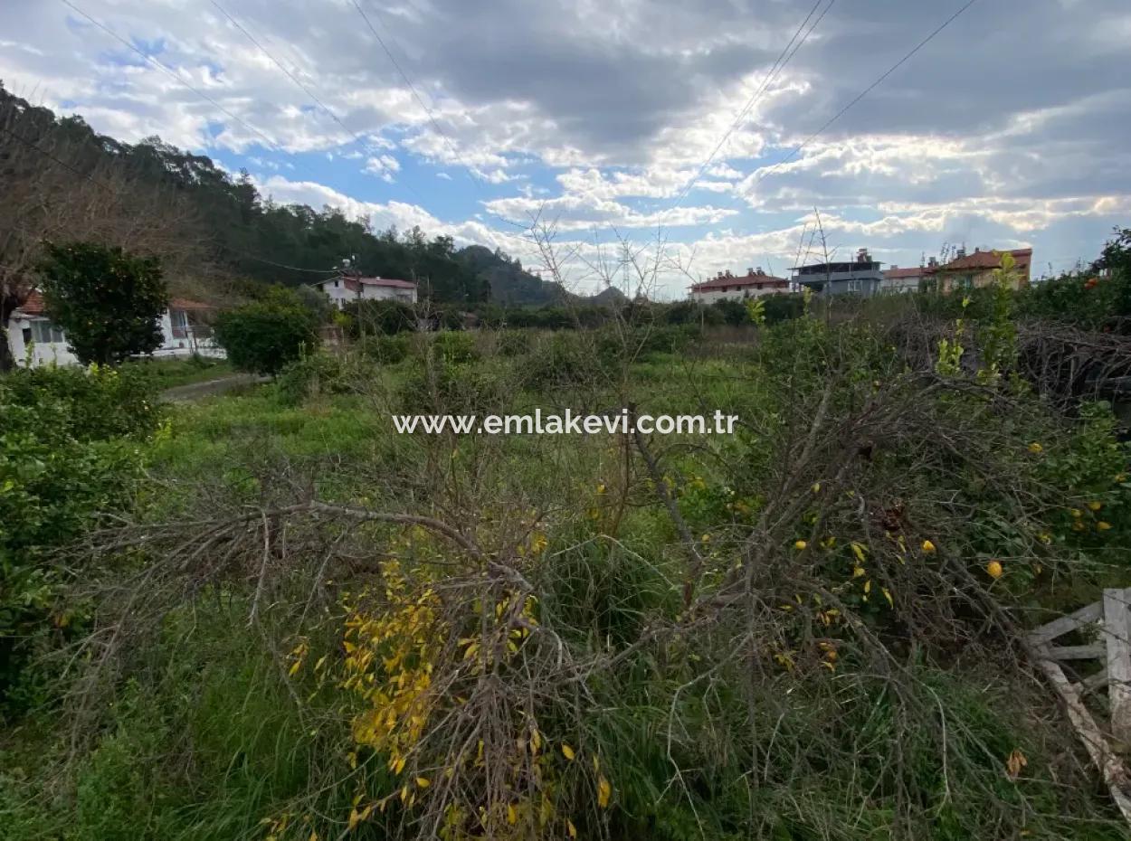 627 M2 Grundstück Zum Verkauf In Ortaca Atatürk Nachbarschaft Von Muğla
