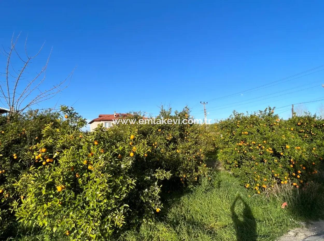 Commercial Land For Sale In Ortaca Dikmekavak Neighborhood
