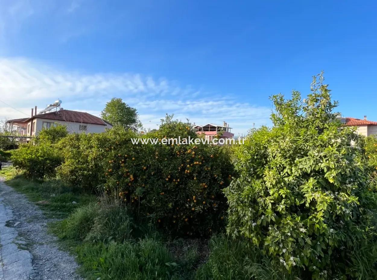 Commercial Land For Sale In Ortaca Dikmekavak Neighborhood