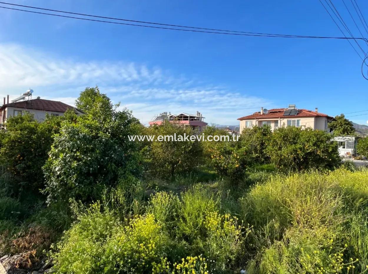 Commercial Land For Sale In Ortaca Dikmekavak Neighborhood