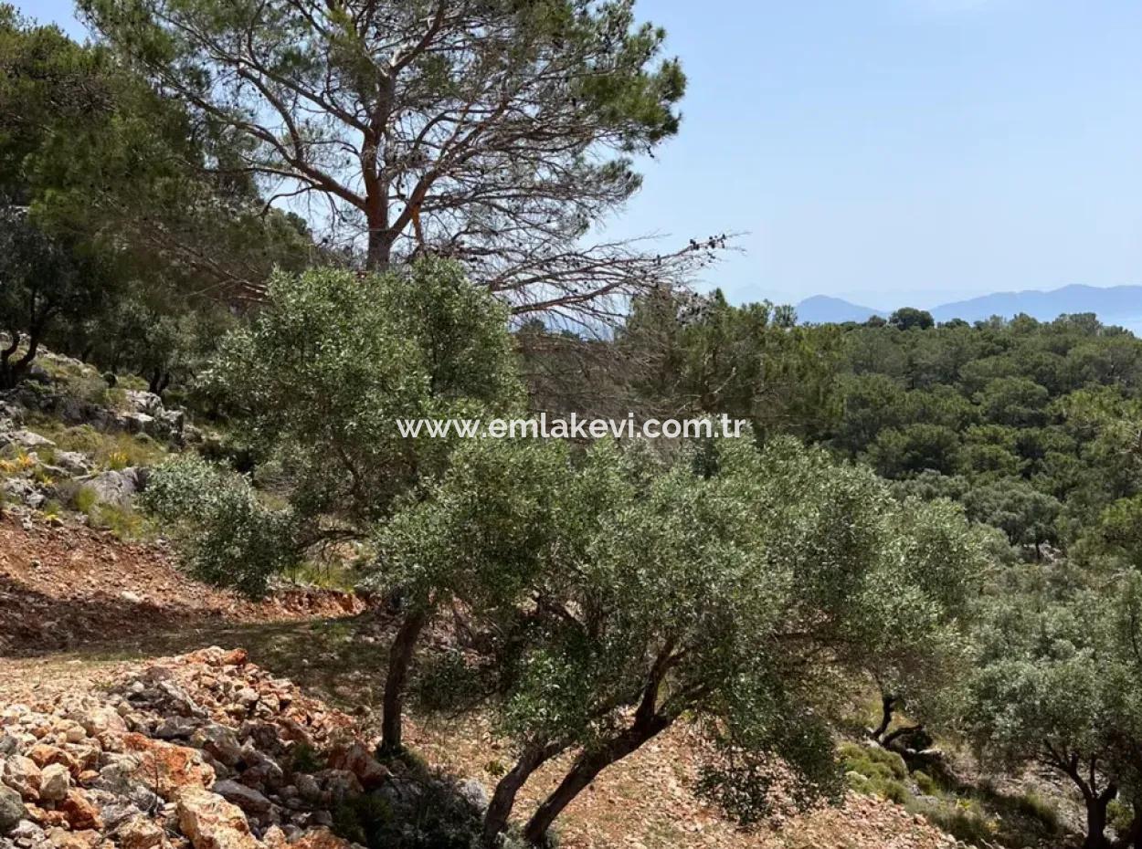 İlhan Emlaktan Sarigermede 15 Decares Of Land For Sale
