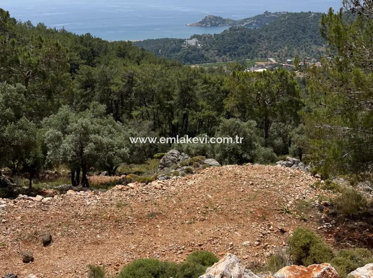 İlhan Emlaktan Sarigermede 15 Decares Of Land For Sale