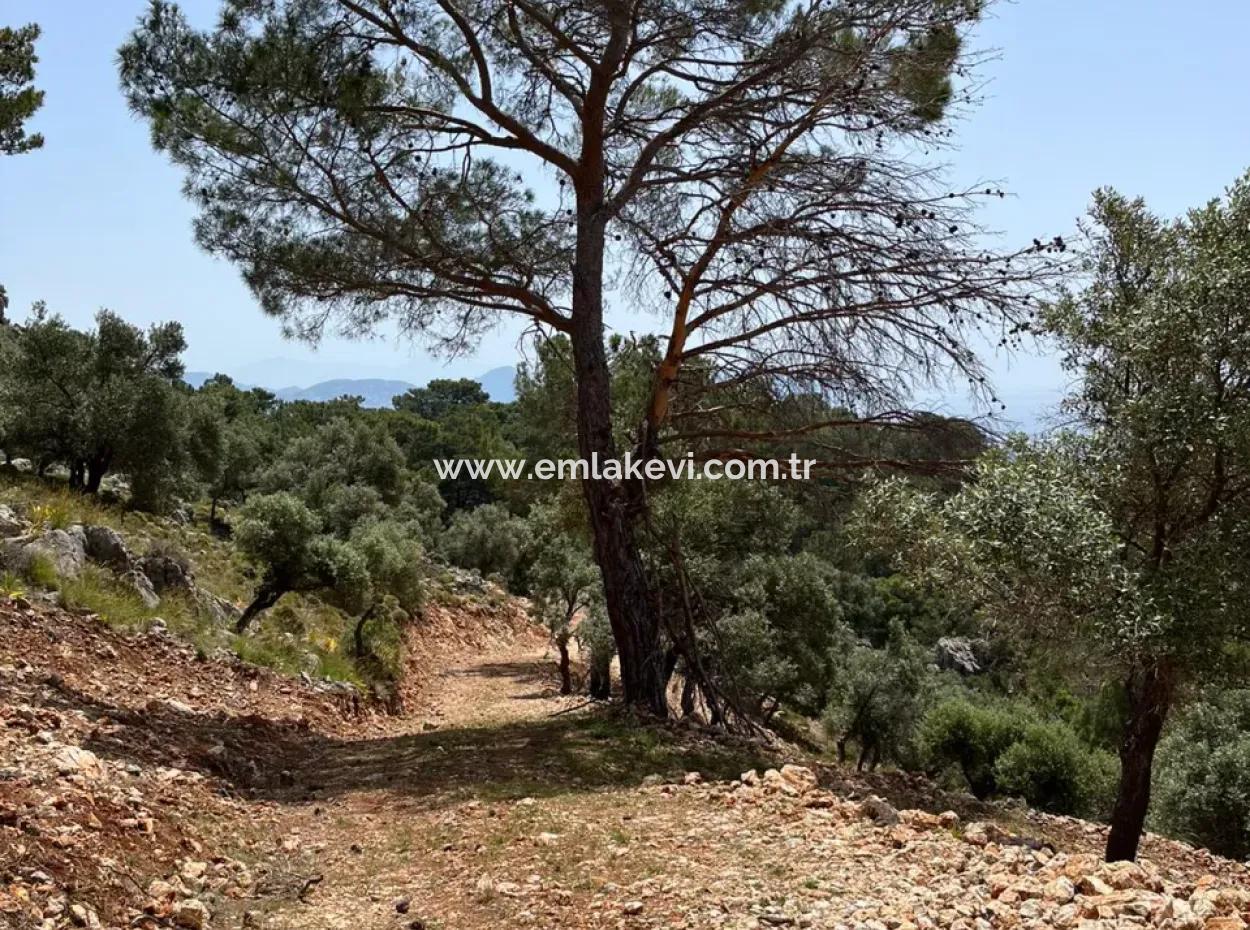 İlhan Emlaktan Sarıgermede Satılık Yatırımlık Arazi