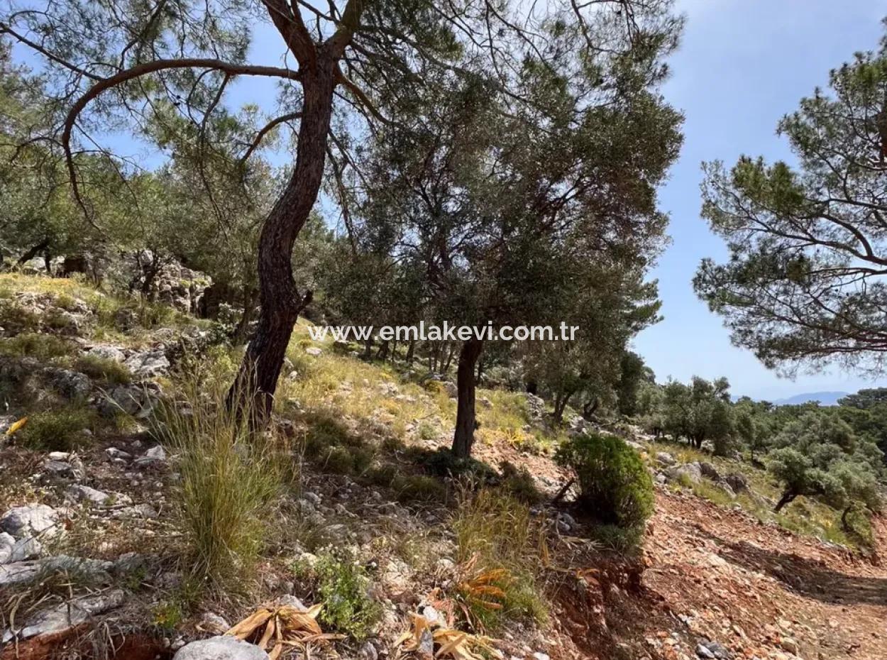 İlhan Emlaktan Sarıgermede Satılık Yatırımlık Arazi
