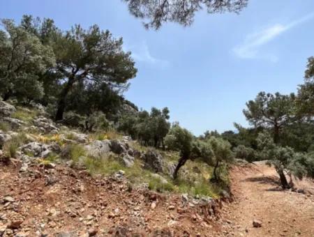 İlhan Emlaktan Sarıgermede Satılık Yatırımlık Arazi